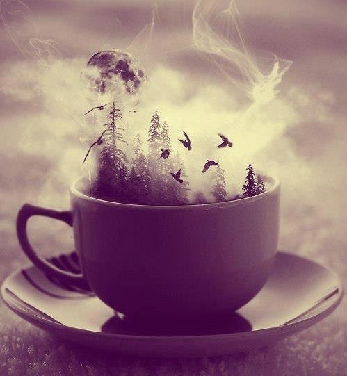 tumblr_mmlfqw76ya1rcnkero1_500-1